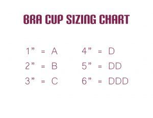 brac cup sizing chart